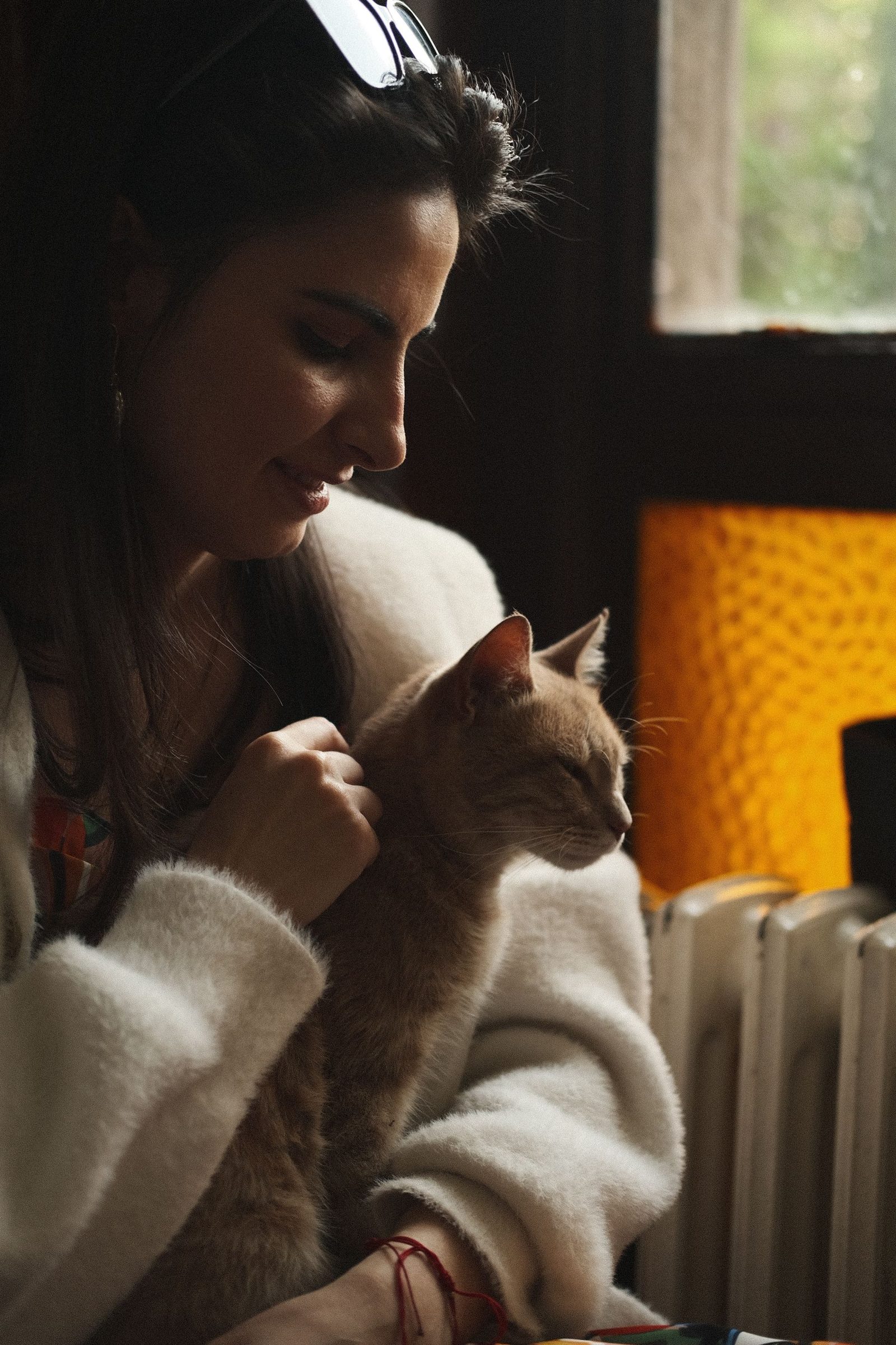 A veterinary professional holding a calm cat at home
